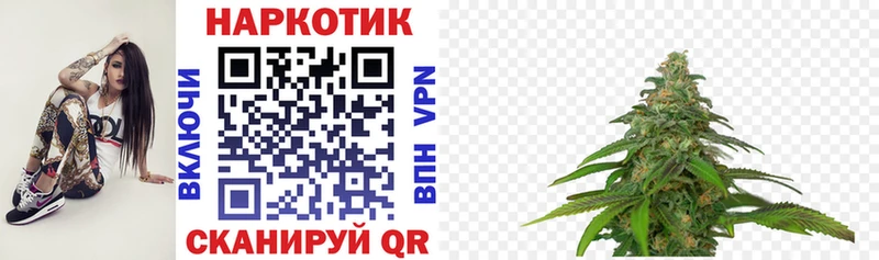  COCAIN Луга