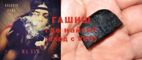 гашик Алексин