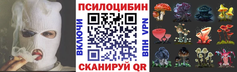 как найти закладки Луга Галлюциногенные грибы мицелий