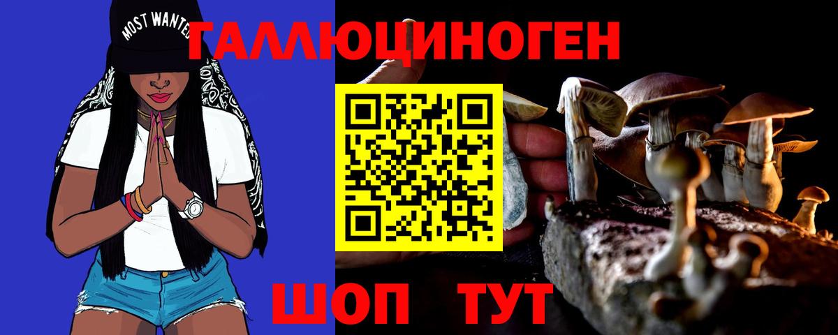 Галлюциногенные грибы MAGIC MUSHROOMS Луга